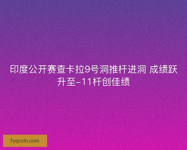 印度公开赛查卡拉9号洞推杆进洞 成绩跃升至-11杆创佳绩